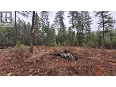 Lot 1 Caitlin Road, Christina Lake