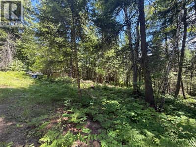 4774 Slocan River Road, Winlaw
