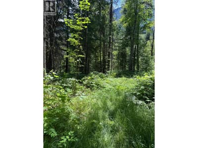 4774 Slocan River Road, Winlaw