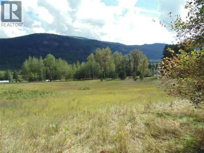 6306 Slocan River Road, Appledale