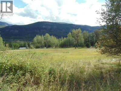 6306 Slocan River Road, Appledale