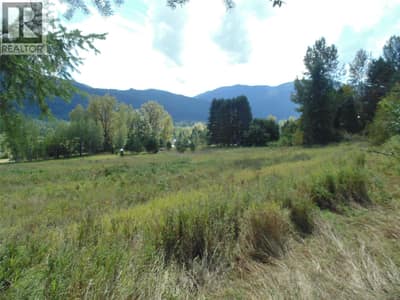 6306 Slocan River Road, Appledale