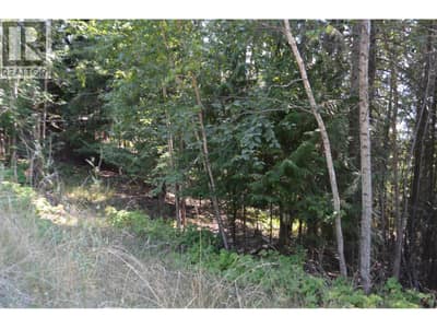 Fraser Road Lot# 59, Anglemont
