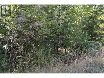 Fraser Road Lot# 59, Anglemont