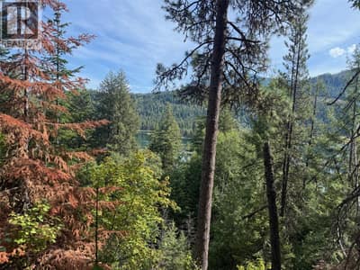 Dogwood Drive Lot# B, South Slocan