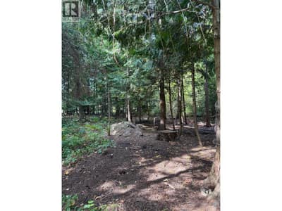 Dogwood Drive Lot# B, South Slocan