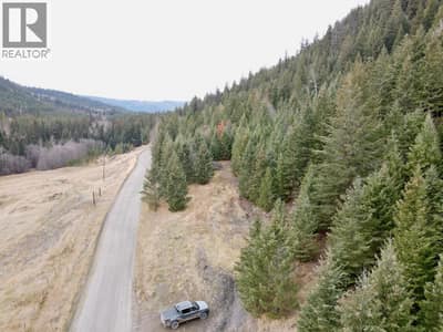 Lot 4 looking down the dol