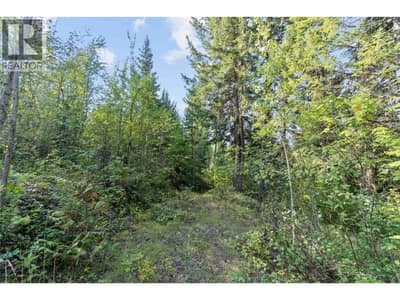 8569 BLACK MOUNTAIN Road, Chase