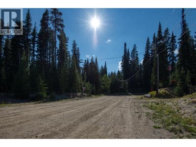 105 Cahill Place, Apex Mountain