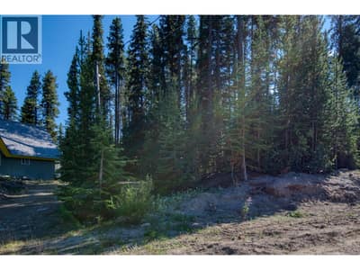 105 Cahill Place, Apex Mountain