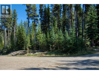 105 Cahill Place, Apex Mountain
