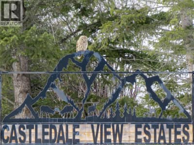 4905 Castledale View Estates Road Road, Golden