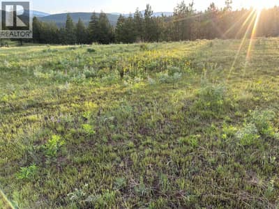 Lot 23