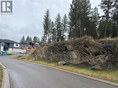 Lot 48 PINE RIDGE MOUNTAIN Lane, Invermere