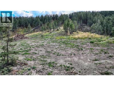5571 93/95 Highway, Fairmont Hot Springs
