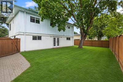 AI cleaned up back yard.