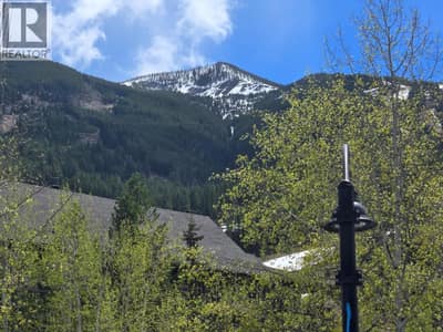 2049 SUMMIT Drive Unit# 223 B, Panorama
