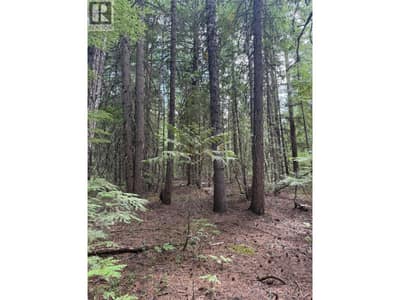 Claybrick Road Lot# 7, Winlaw