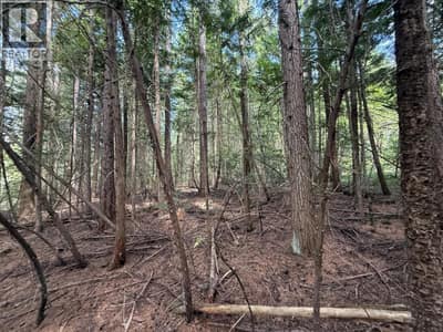 Claybrick Road Lot# 7, Winlaw