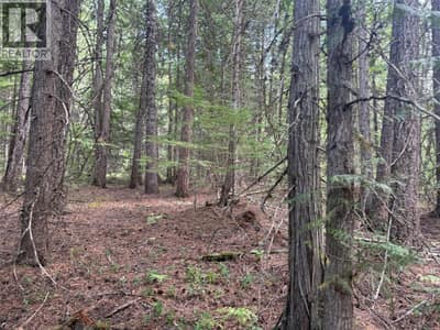 Claybrick Road Lot# 7, Winlaw