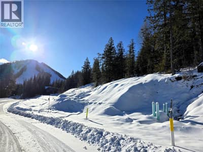 101 Topping Terrace, Rossland