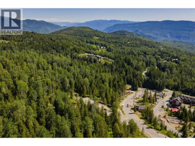 103 Topping Terrace, Rossland