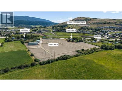 10001 & 10003 Hwy 6. 8.24 acre parcel - 10091 Hwy 6.