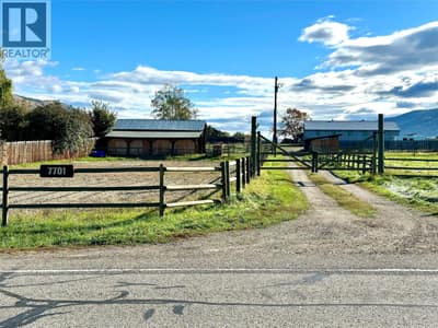 Horse lover's paradise!