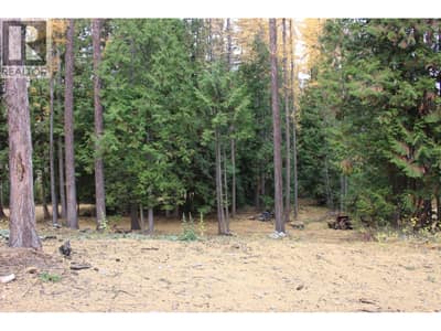 2640 3B Highway, Rossland