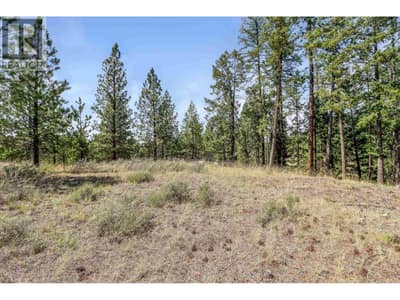 241 CORRAL Boulevard, Cranbrook