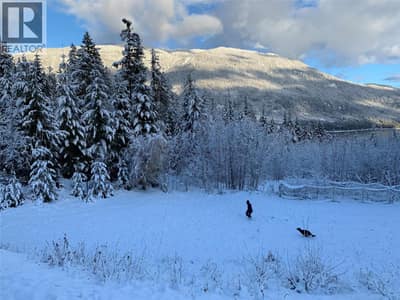 Beautiful in any season!