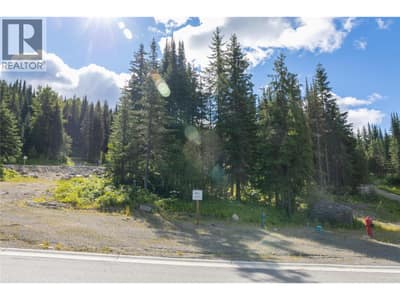 LOT 13 MCGILLIVRAY LAKE Drive, Sun Peaks