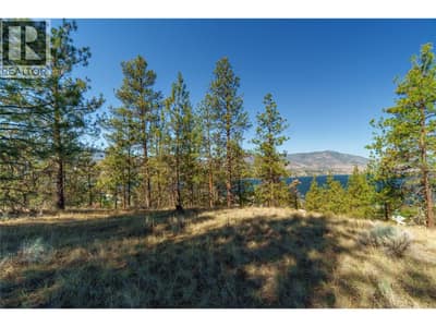PRPSD LT 1 47 Street, Okanagan Falls