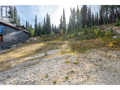 185 Snow Mountain Place, Apex Mountain