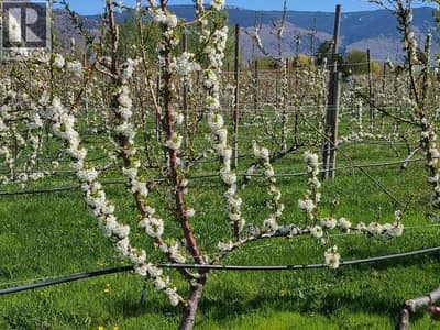 2626 MIDDLE BENCH Road, Keremeos