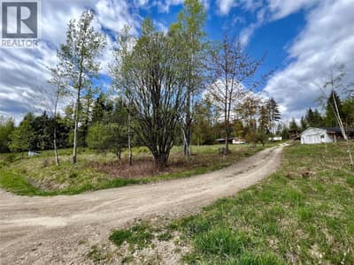 864 Bartley Road, Nakusp