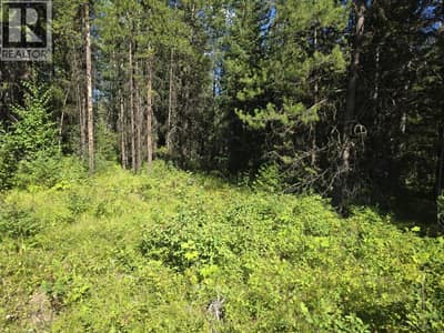 3680 Miller Lake FSR Forest, Falkland