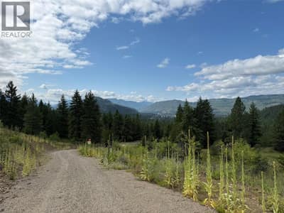 Lot 2 Gordon Creek Road, Barriere