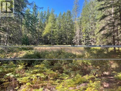 Lot 77 Bartley Road, Nakusp