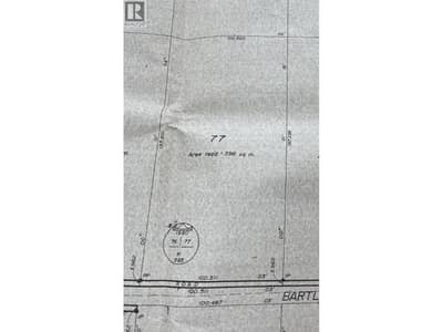 Lot 77 Bartley Road, Nakusp