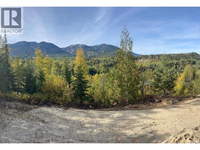 305 RICHIE Road, Rossland