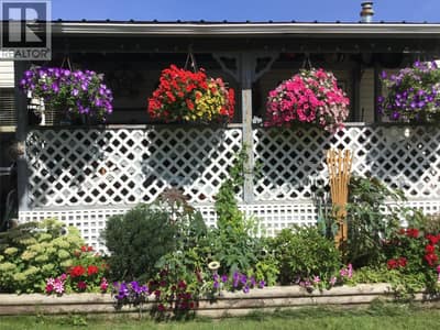 Garden picture with hanging baskets from 2024