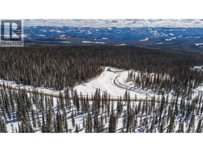 Black Forest Way Lot# 4, Big White