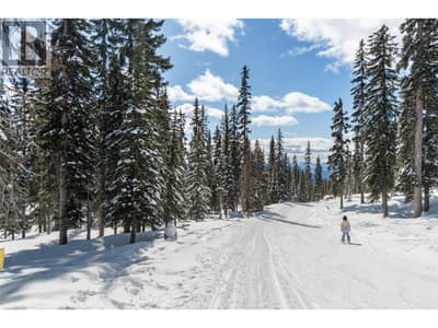 Black Forest Way Lot# 4, Big White