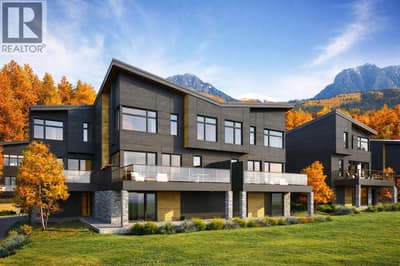 Developer Rendering