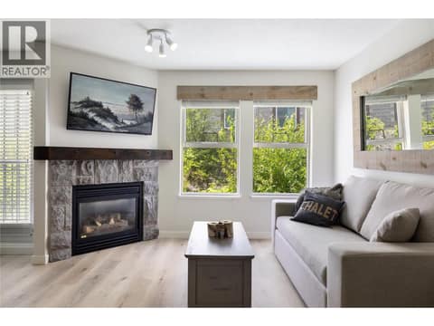 Fireplace and Queen Pull-out Sofa