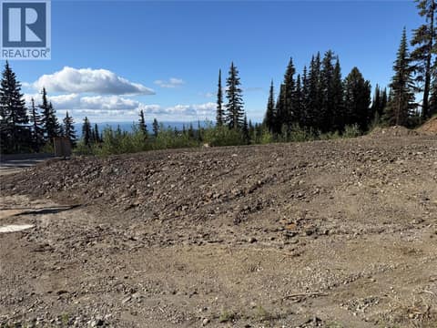 9807 Cathedral Drive, SilverStar, photo 7