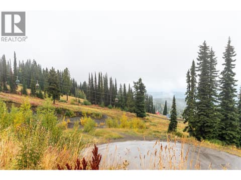 Overlooking cul-de sac towards Monashee Mountains and Village