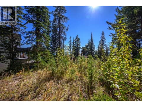 720 Monashee Court, SilverStar, photo 52
