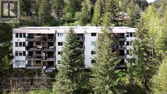1510 Nickelplate Road Unit# 208